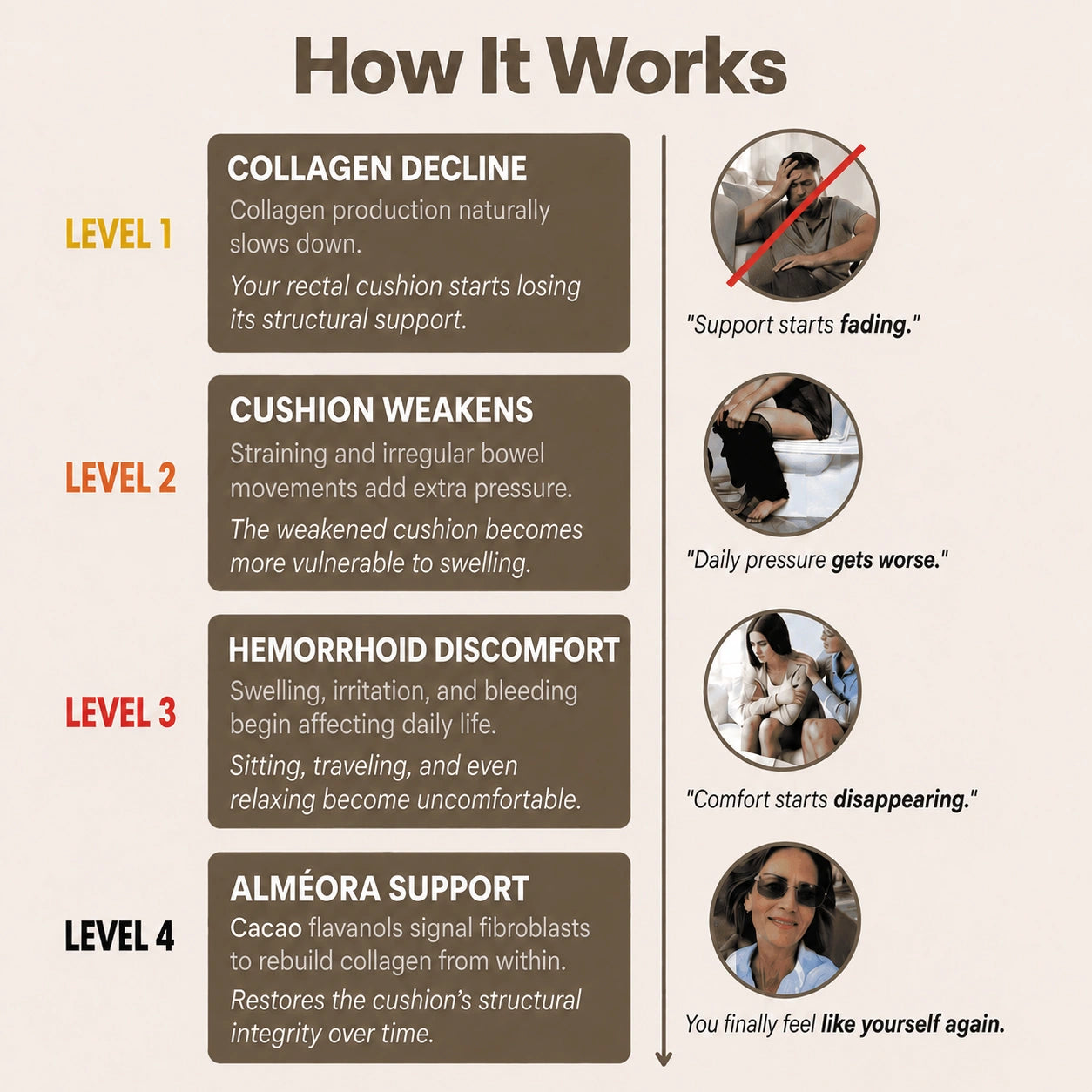 Cacao formulation infographic