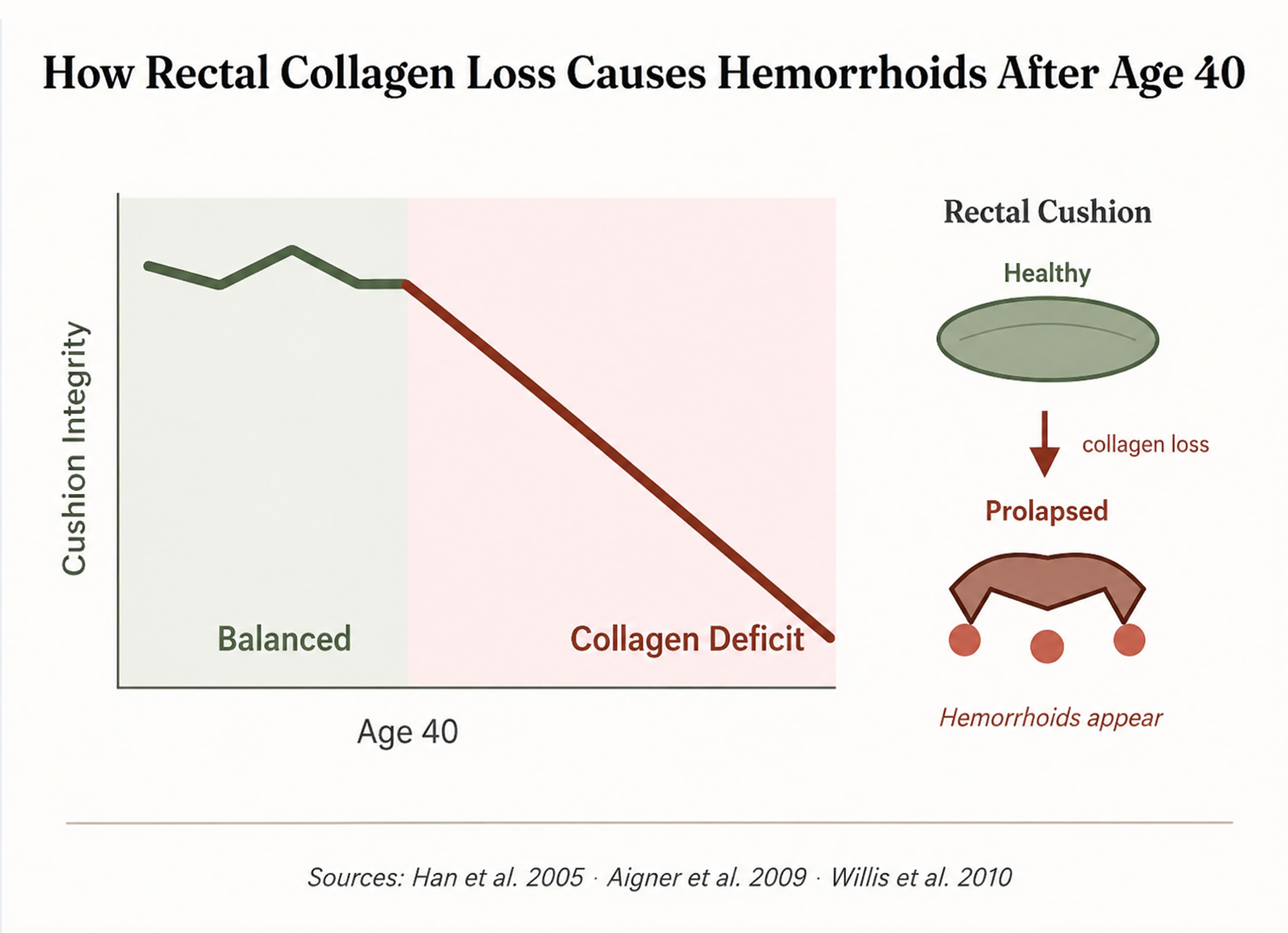 How rectal collagen loss causes hemorrhoids after age 40